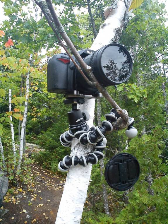 A Nikon se esgueira para tirar boas fotos no Parc National de La Mauricie, na província de Quebec, no Canadá